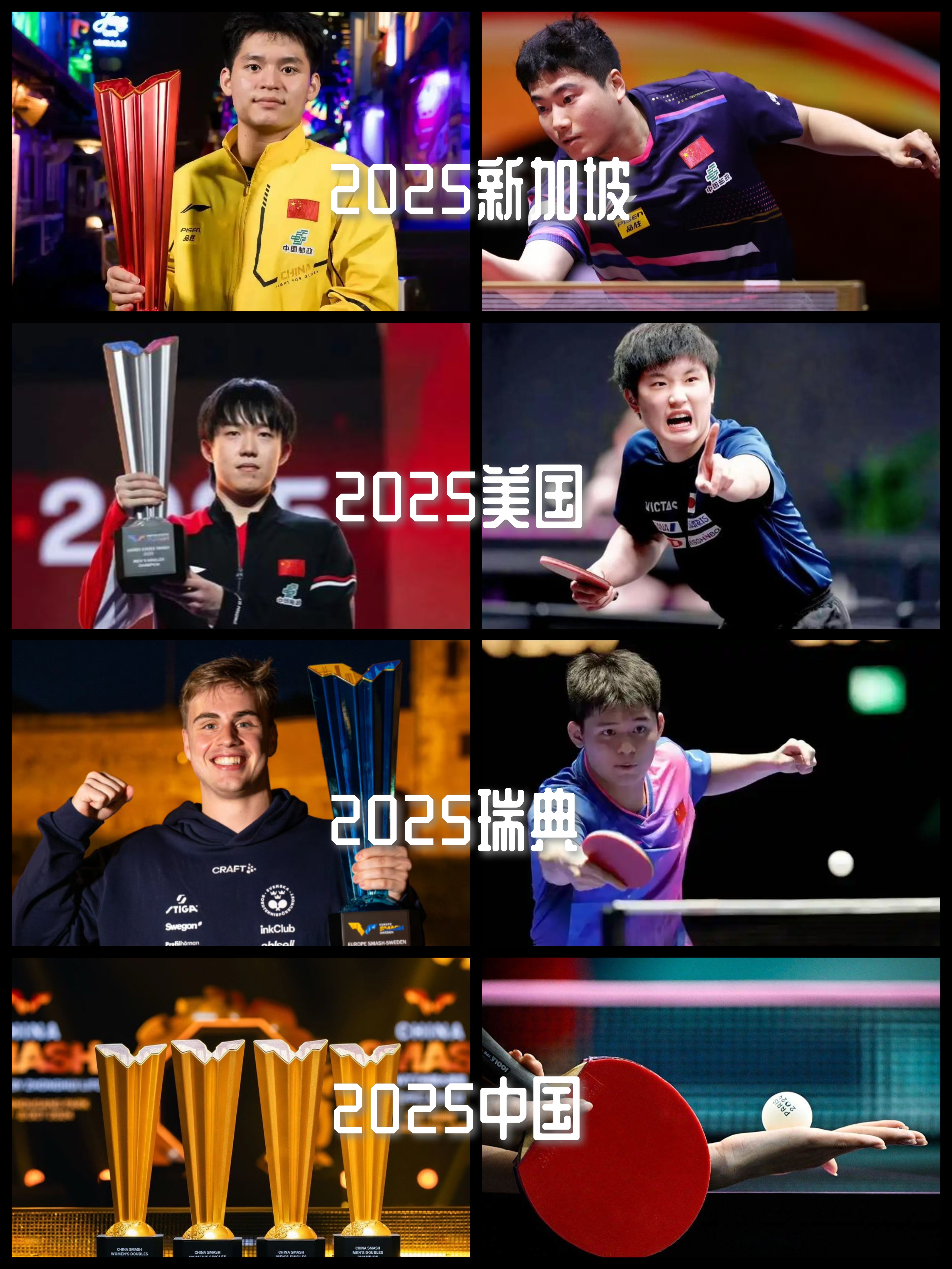 重回赛场备战国际顶尖对手，披荆斩棘向前进