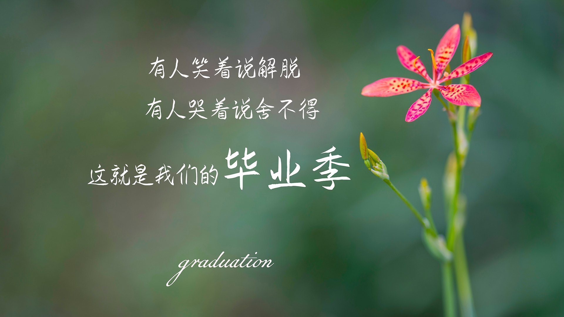 独行骑兵的冲锋号,孔德一肩扛起马赛力克莱比锡红牛