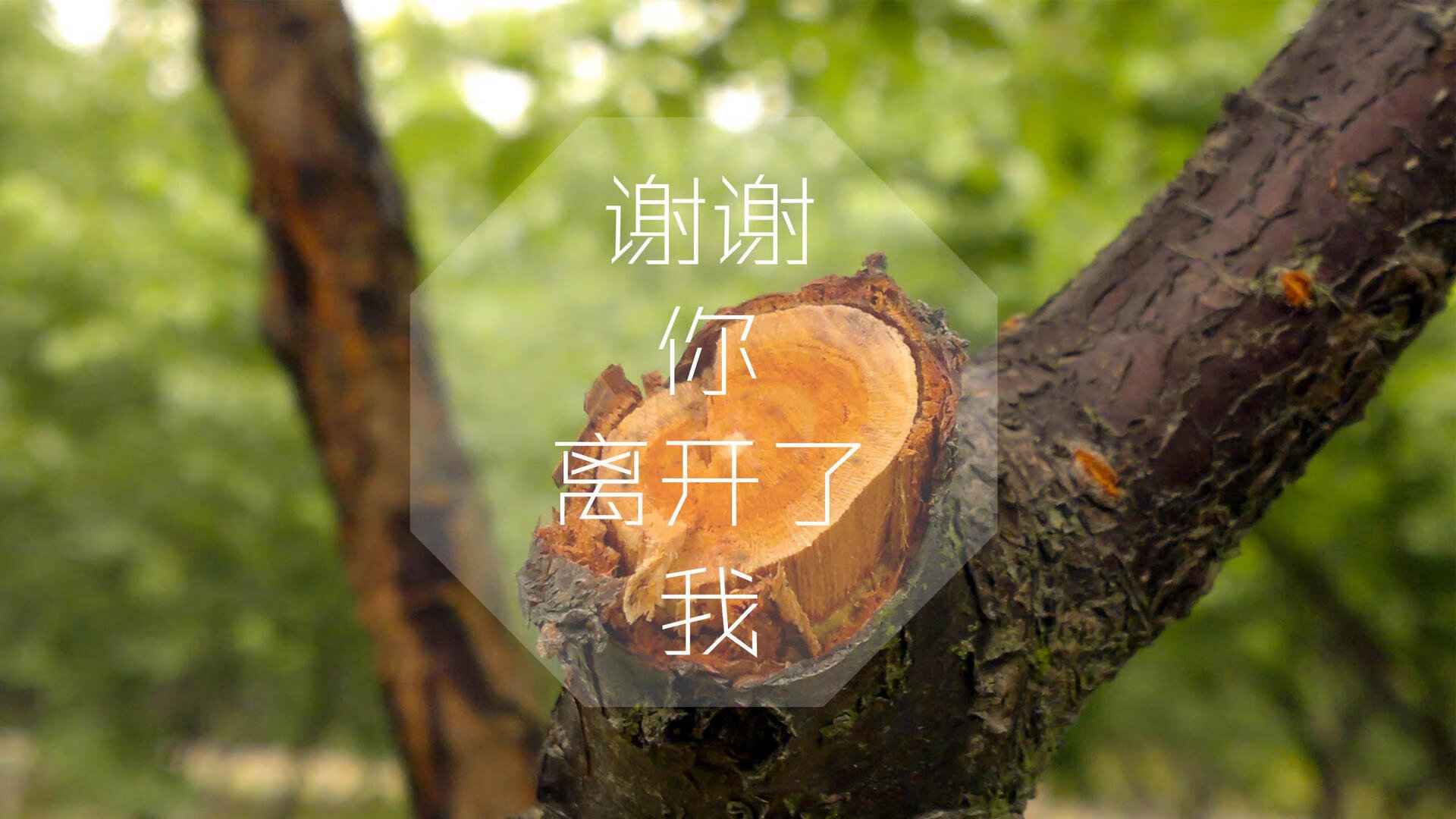 绿茵之外的决赛，沙特经济转型完胜乌拉圭的背后逻辑