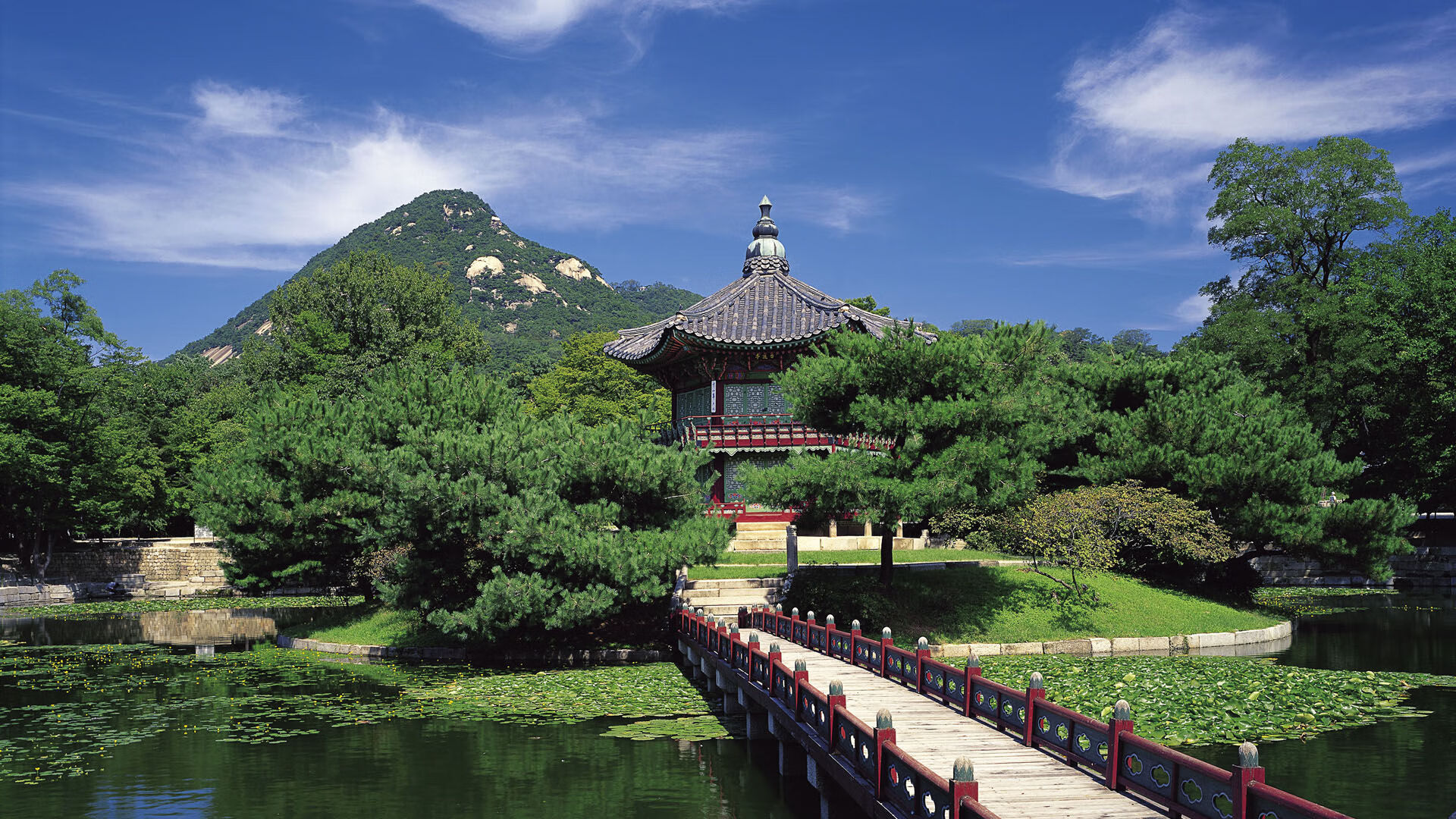太阳驯鹈鹕,节奏为缰,哈登作魂
