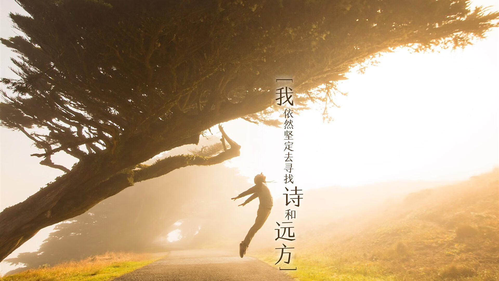 双线绝杀,广东一波流席卷纽约,切特在F1压轴弯道接管争冠战