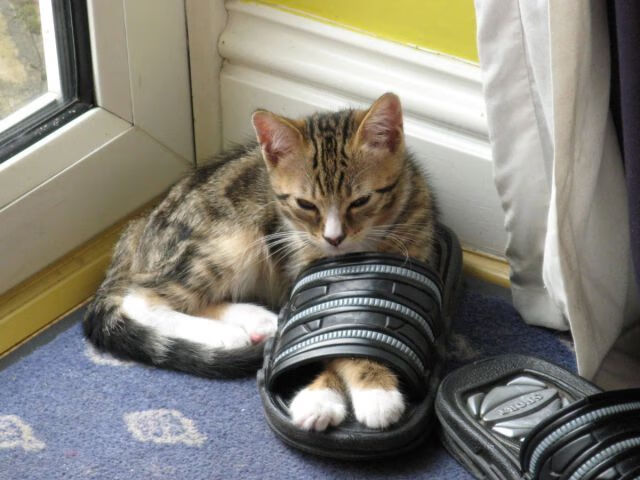 绿茵场上的唯一解,当意甲常青树压制山姆大叔,亚洲铁闸如何改写游戏规则?