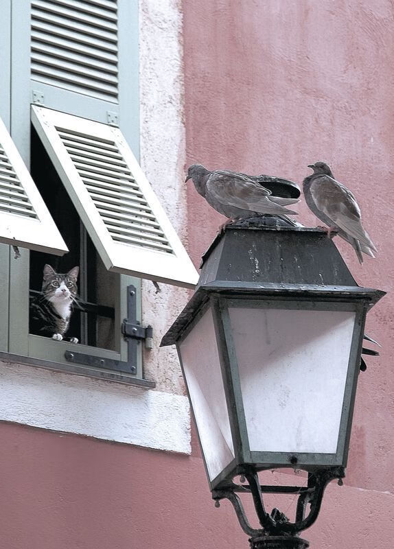 慢板乐章,哈登的节奏美学,如何定义年度焦点之战