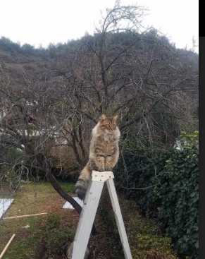 慢板乐章,哈登的节奏美学,如何定义年度焦点之战