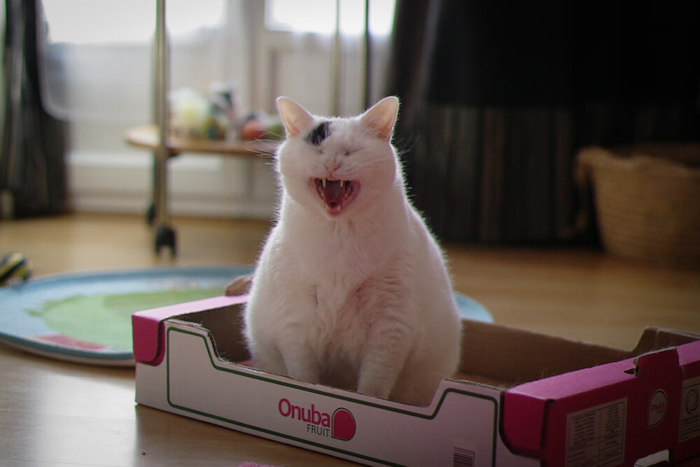 教科书级掌控力！伦纳德全面发挥，掘金末节一波流带走新疆