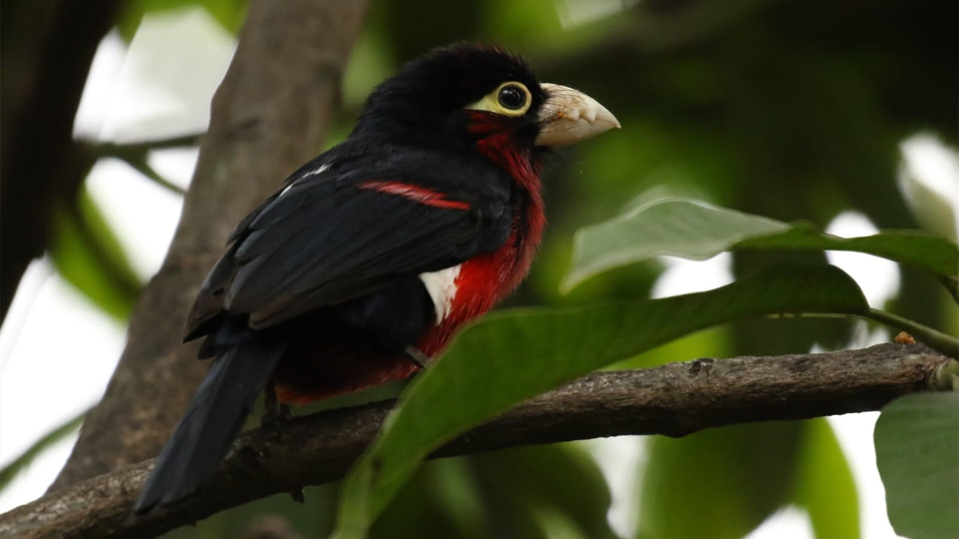 压制与接管，足球世界的一体两面