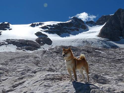 量子纠缠的绿茵场，当姆巴佩在另一时空撕破丹麦防线