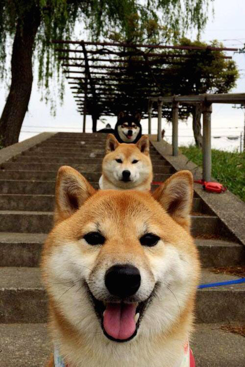 三分箭雨掀起金色狂潮，马克西爆发助勇士一波流带走山西