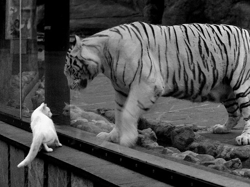 英超争冠之夜，利拉德定律在绿茵场的终极回响