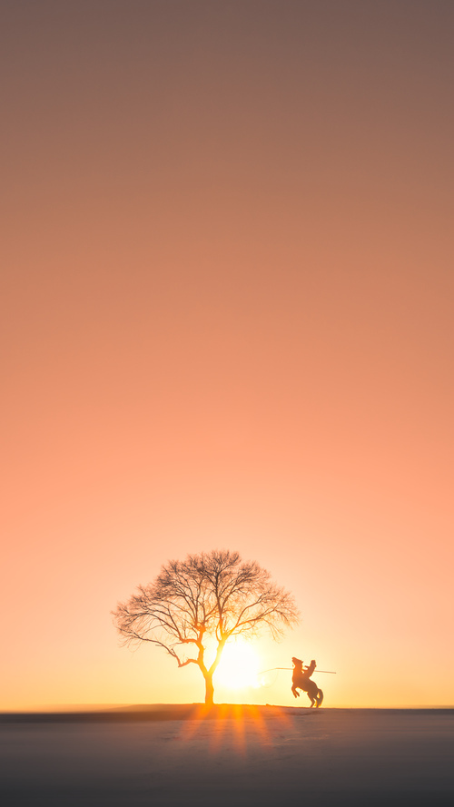 王座之巅，当约基奇用智慧与幽默改写了硬仗的游戏规则
