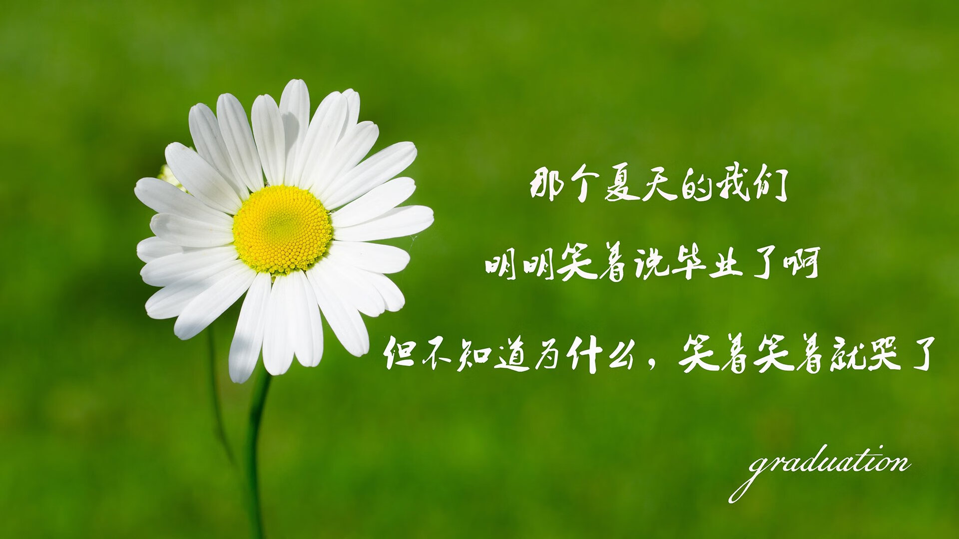 橙衣军团的历史性终局,当荷兰终结苏格兰,凯恩如何成为预言外的关键先生
