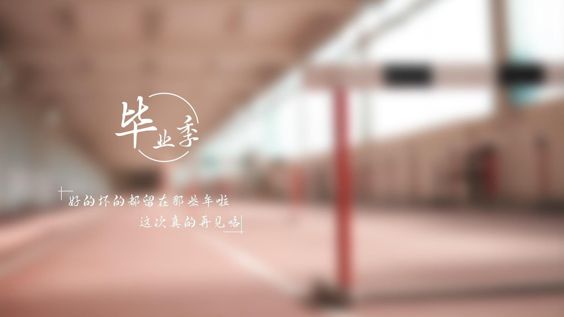 沙漠之夜的孤星，2026世界杯关键战，C罗以一己之力改写命运，美国大胜卡塔尔背后的王者独白