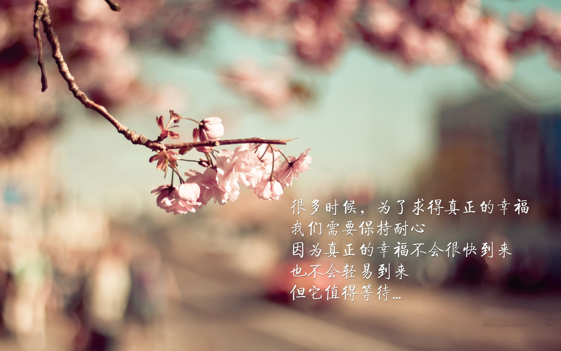 绿洲之上的暗涌,当斯洛伐克冻结桑巴荣耀,罗德里戈的压哨绝杀刺穿宿命
