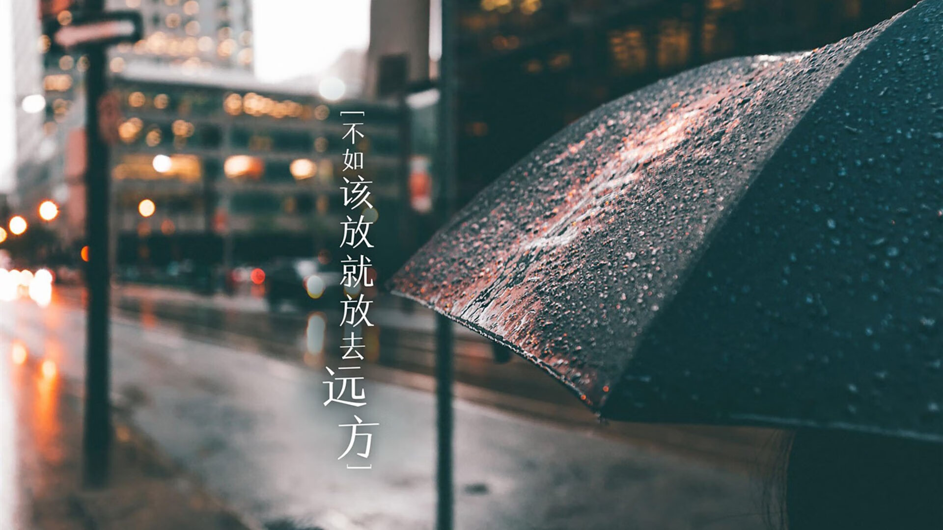 C罗王者归来!2026世界杯D组焦点战,罗马尼亚绝境爆发险胜厄瓜多尔